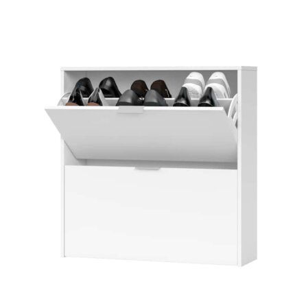 Zapatero Basic dos puertas
