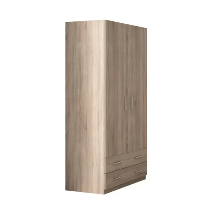 Armario 2P 2C 100 cm Ready color cambrian con puertas abatibles, 2 cajones y tiradores de aluminio