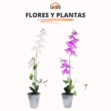 Flores y plantas