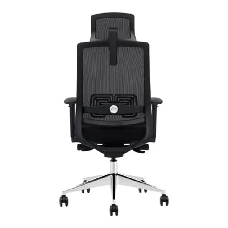 Parte trasera de la silla ergonómica Nodofix Serie 650 con soporte lumbar regulable