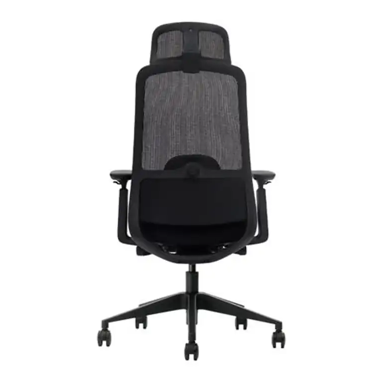 Vista trasera de la silla de oficina Serie 500 Nodofix con soporte lumbar regulable