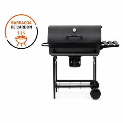 barbacoa carbón Jandía Airmec para exterior