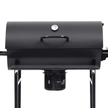 Barbacoa de carbón Jandía Airmec vista lateral