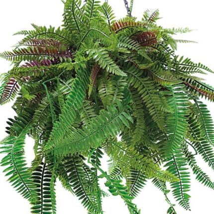 detalle decorativo de planta artificial colgante Amelia 50x85