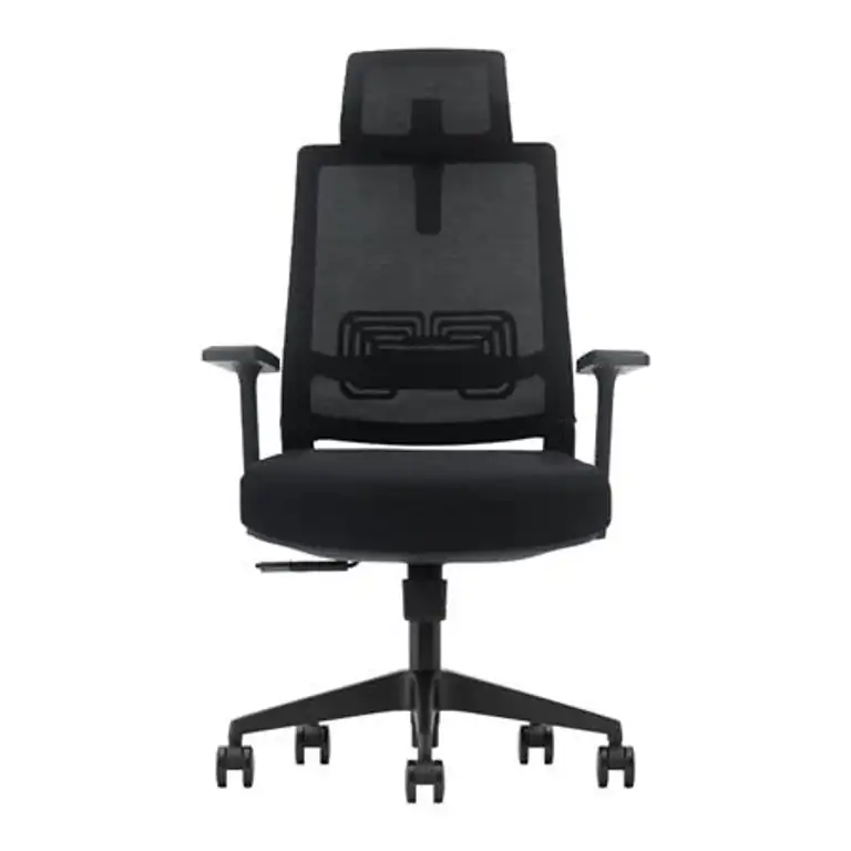 Silla de oficina Serie 300 Nodofix vista frontal con respaldo ergonómico y reposacabezas